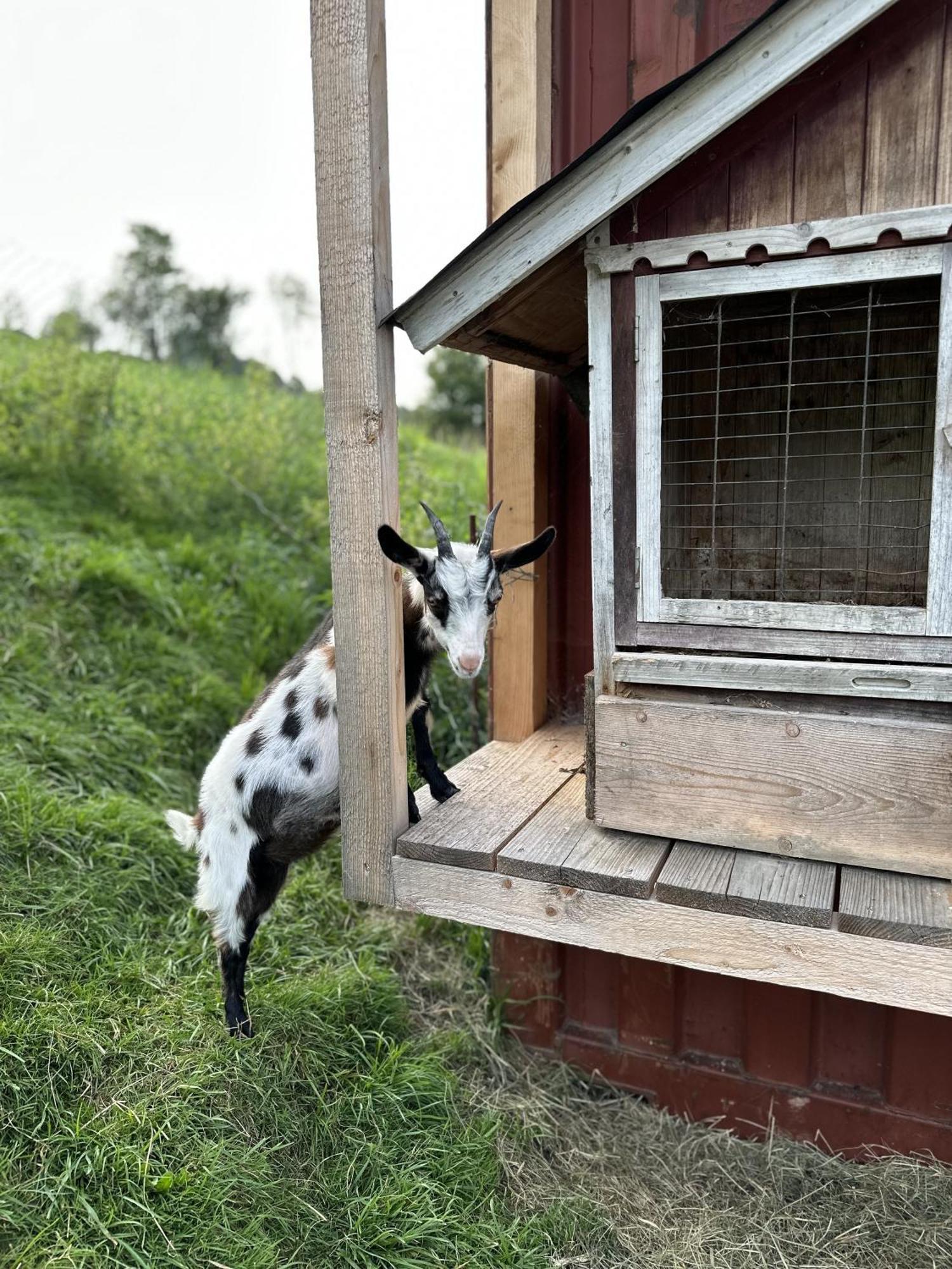 Ferienwohnung Langeck มาริอาอาล์ม อัม ชไตเนอร์เนินเมียร์ ภายนอก รูปภาพ